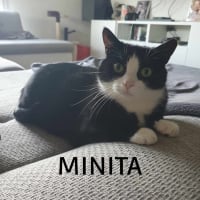 Photo de MINITA