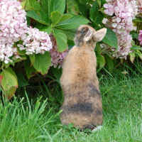 C'est bon la nature quand même!