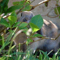 Hé ho un peu d'intimité Messieurs les paparazzis!