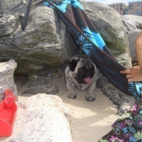 dans sa cabane à la plage !