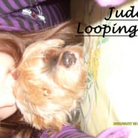 Photo #26683 de Looping