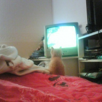 il aime regarder la tv