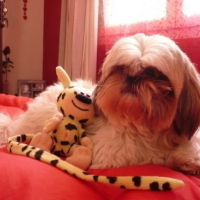 Sur le lit de ma maman elle ne m'a pas vue !!!