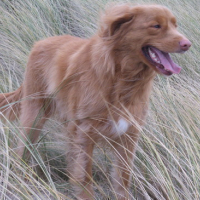 prise de vue dans les dunes