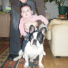 2009_0104photos0008