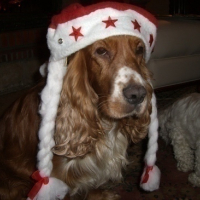 UGO en père Noel....suis derrière lui discrétos!