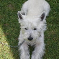 Photo #76735 de Croquette bebe a maman