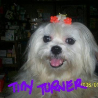 Photo #79705 de Tiny