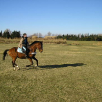 Photo #80419 de Romulus de joux