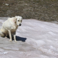 Photo #98473 de Cérès