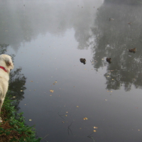 Photo #98503 de Cérès