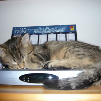 le lit chauffant  freebox