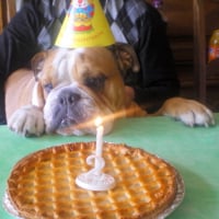 l'anniversaire de Balou