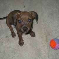 Lana and her ball..