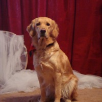 Photo #123973 de Buffy