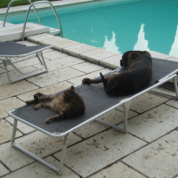 Moi et mon copain Buzz au bord de la piscine