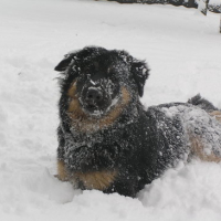 j adore vraiment la neige !