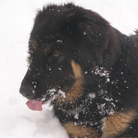 c est bon la neige !