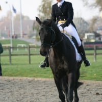 Photo #141925 de L'ebèned'aurois