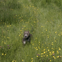 Photo #149191 de Une petite kim des gardiens d'attila