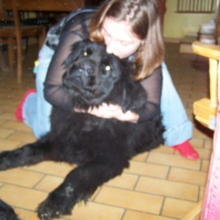 Photo #160669 de Babou des terres du mont st michel