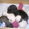 Aries' baby picture... together with siblings