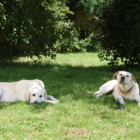 vévé et neil in the garden