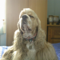 Photo #178942 de Paco