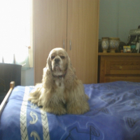 Photo #179015 de Paco