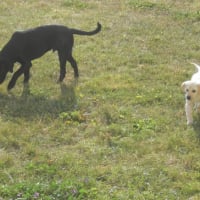 eiko et son copain eros 