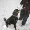 Payton et la neige 3