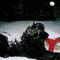 son premier noel sous la neige