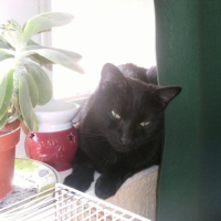 Photo #185294 de Paco