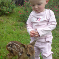 Photo #188421 de Bambi