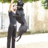 baloo et son maitre chartres 