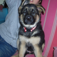 Photo #191801 de Nala