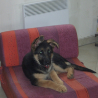 Photo #191804 de Nala