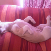 cool la sieste ^^