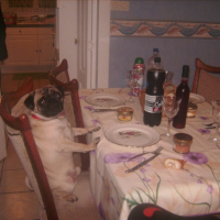 loulou à table !