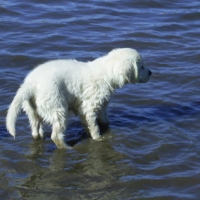 Son premier bain!