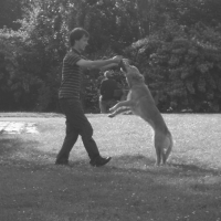 vicky et son boudin...