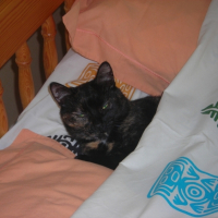 Photo #195635 de Lola