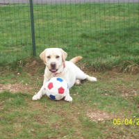 Casper et son ballon