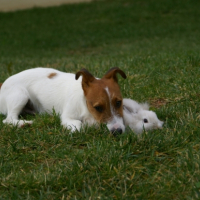 Photo #196357 de Charly