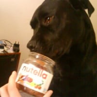 j'adore le nutella !