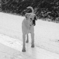 Découvre la neige