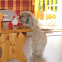 Doucette et son doudou préféré