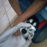 Photo #202920 de Maya