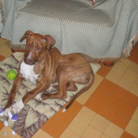 Photo #204406 de Axel