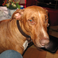 Photo #204425 de Axel